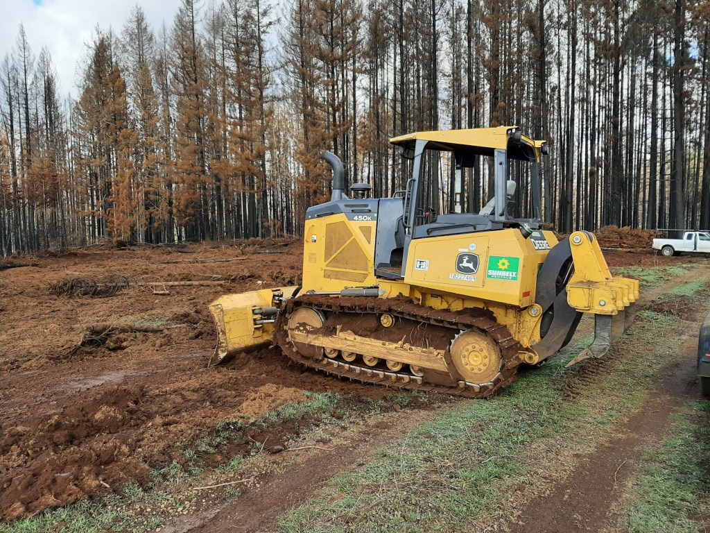 A cat prepping burned Christmas Tree fields for replanting.