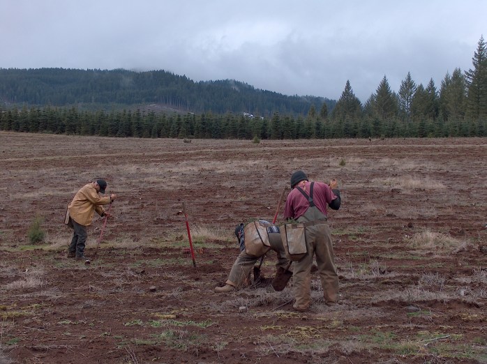 Three people work in a dirt and grass field, planting seedlings. Majestic mountains and trees in the background. 